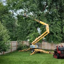 Lawn Grading and Leveling in Washougal, WA